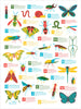 Bugs Alphabet