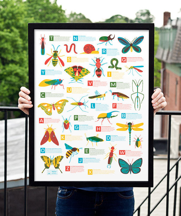 Bugs Alphabet – 55 Hi's