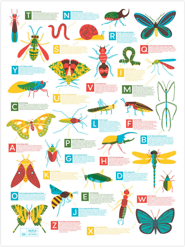 Bugs Alphabet